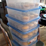 cupcake storage