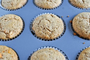 spcupcakes-2