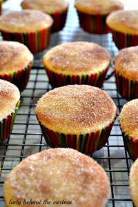 Lady-Behind-The-Curtain-Churro-Cupcakes-1
